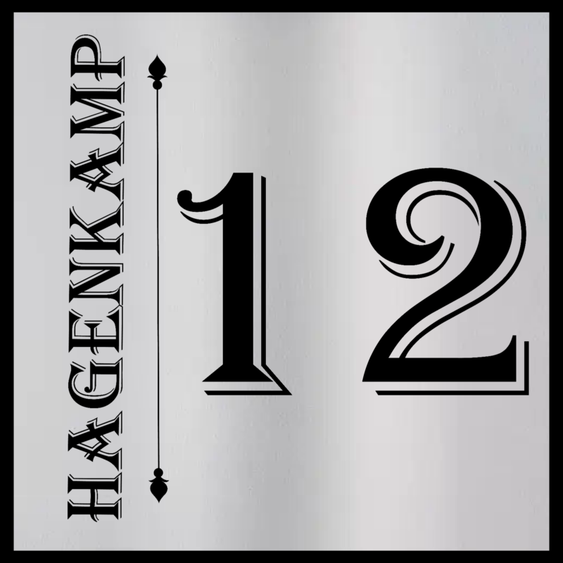 Hausnummer Individuell 10x10 Edelstahl Schild graviert Motiv Geschenk wetterfest – Bild 6